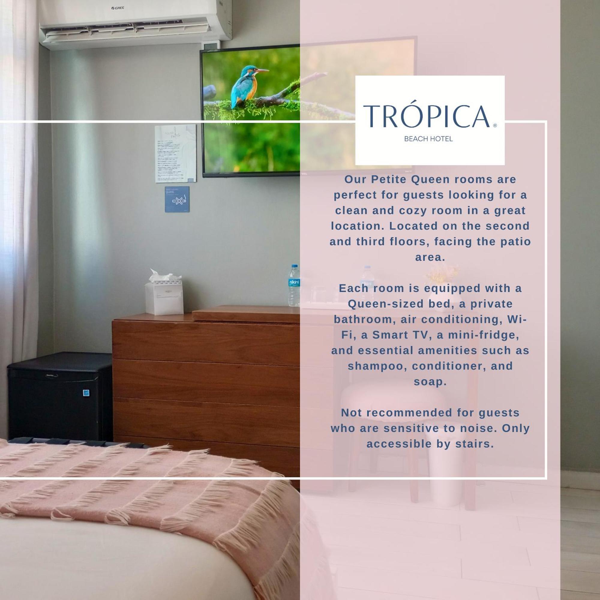 סן חואן Tropica Beach Hotel (Adults Only) חדר תמונה